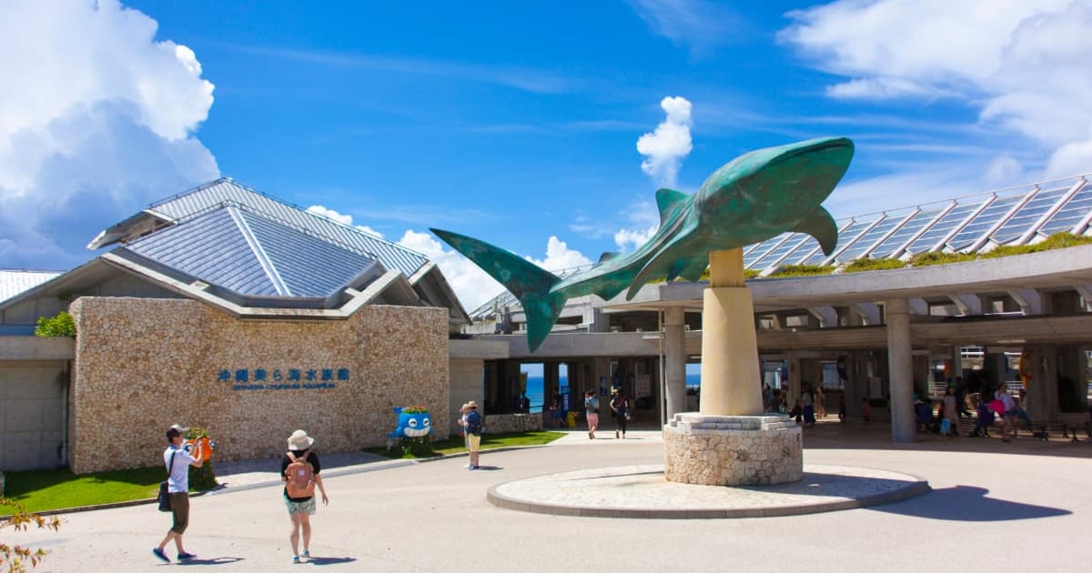 美ら海水族館に行くなら立ち寄りたい おしゃれカフェ3選 国内旅行 ツアー Lcc情報ならエアトリmagazine