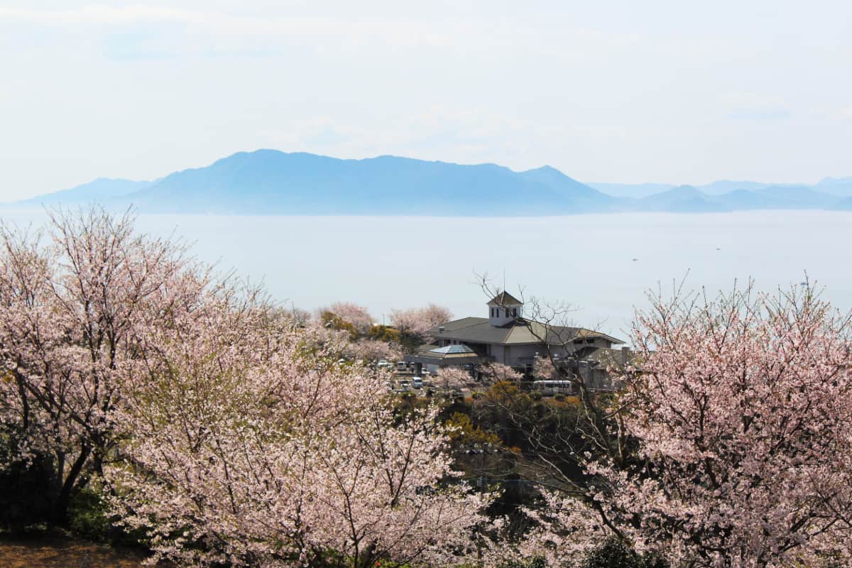 春に行きたい桜の名所「千厳山」