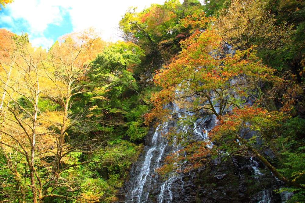 日本の滝100選！龍双ヶ滝