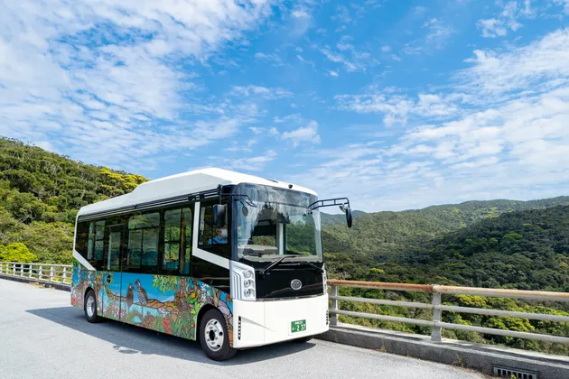 沖縄旅行におすすめオプショナルツアー！世界自然遺産のやんばるの森を巡るバスツアー「やんばるの森ネイチャーガイドツアー」のご紹介♪