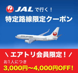 特定路線限定クーポン