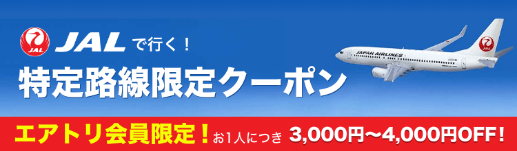 特定路線限定クーポン