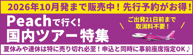 ピーチで行く格安国内ツアー　