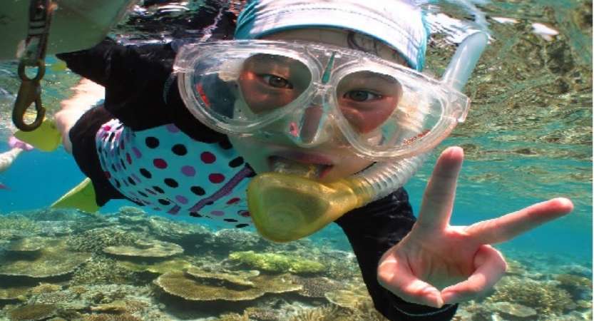 キラキラ海の大冒険！海の生き物を観察してみよう