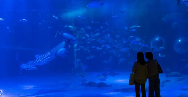 のとじま水族館