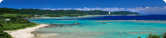 Peachで行く奄美大島