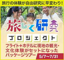 【旅行×自由研究】家族で楽しくスムーズに自由研究