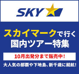 スカイマーク