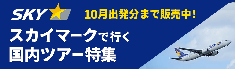 スカイマーク