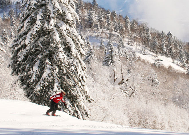 リゾートインノースカントリー