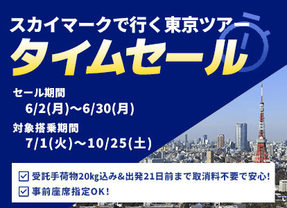 スカイマーク（SKYMARK）の格安東京・TDRツアー・東京・TDR旅行予約