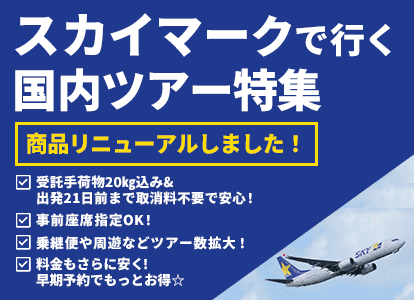 skymark