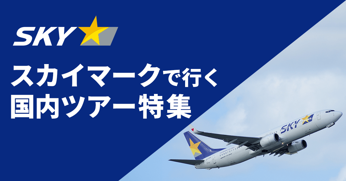 ご確認用＊航空書簡 鳥と忍冬唐草模様100円 初日印 昭和51年1月25日 ご確認用＊航空書簡 鳥と忍冬唐草模様100円 初日印 昭和51年1月