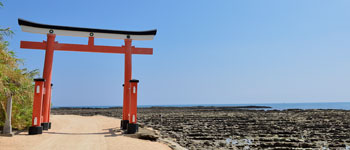 青島