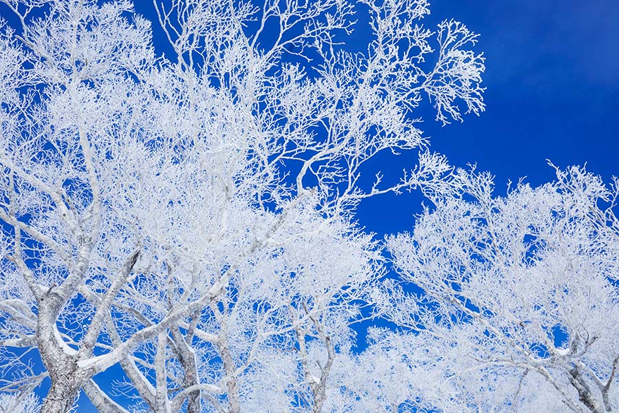 ユニークな展望スポット